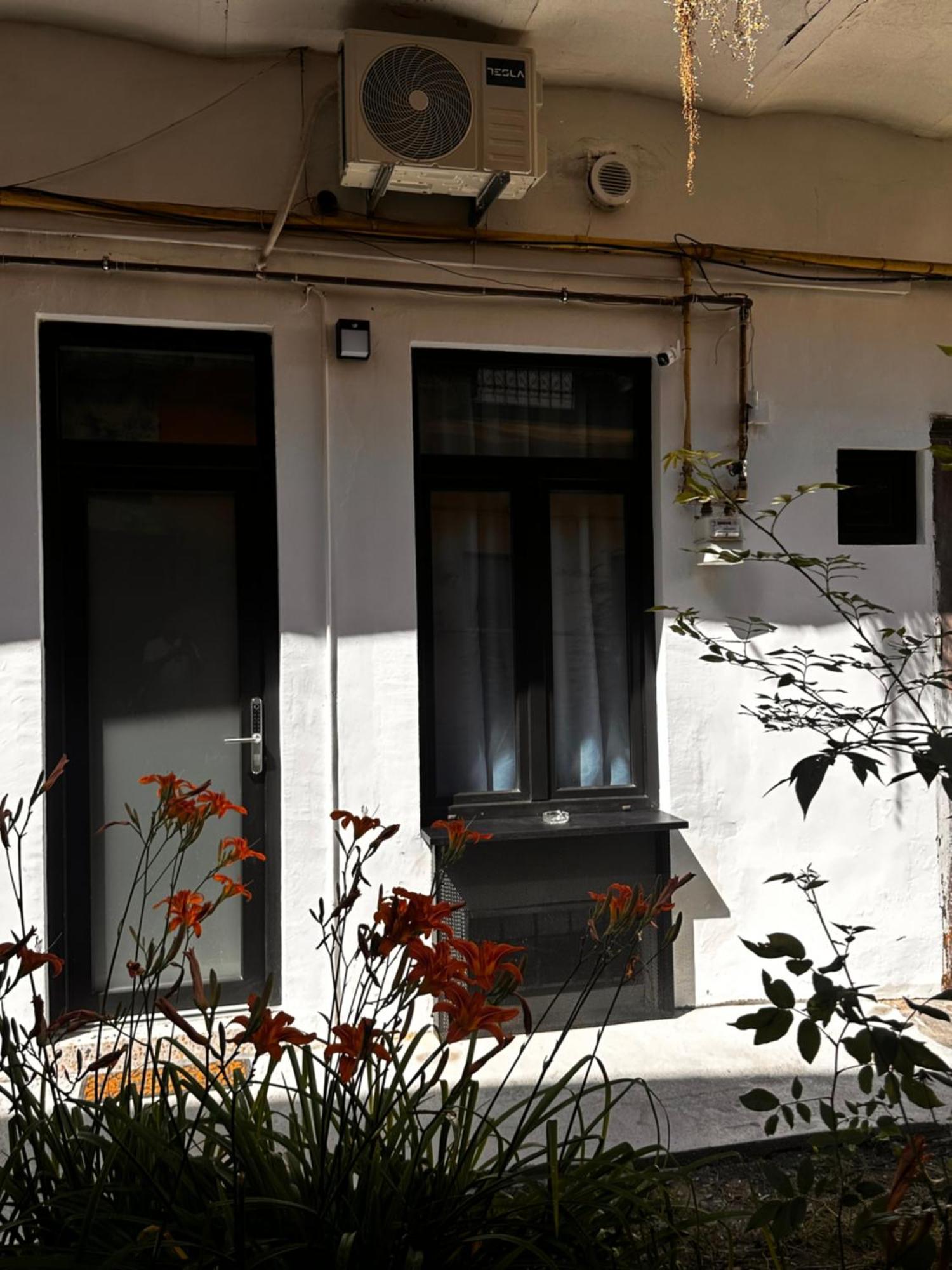 Jais Home-Moon Apartment Old Town Cluj-Napoca Eksteriør billede